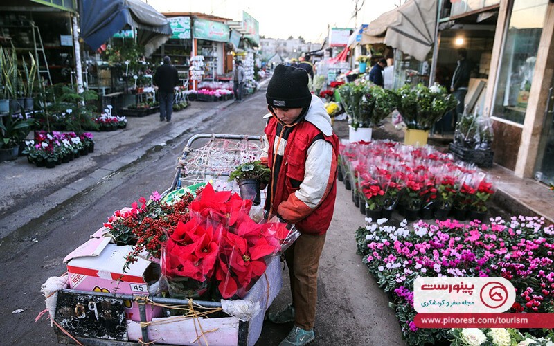 بازار گل محلاتی قیمت