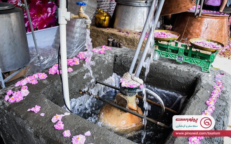 باغ گیاه شناسی تهران گلاب گیری