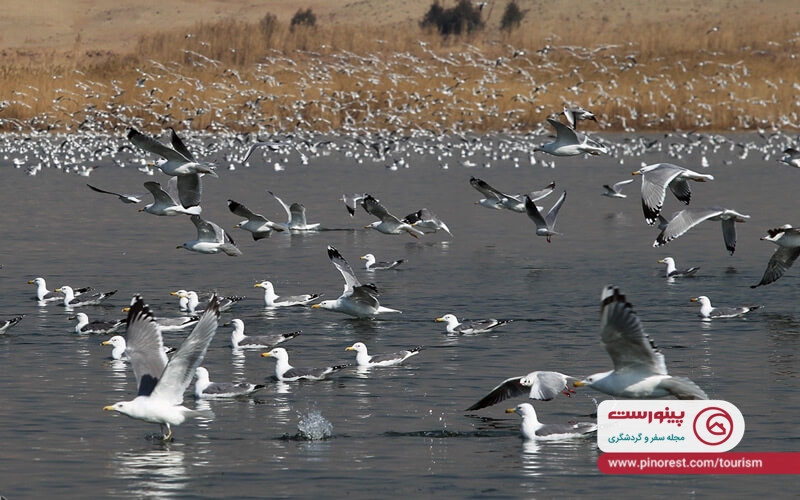 تالاب عشق آباد