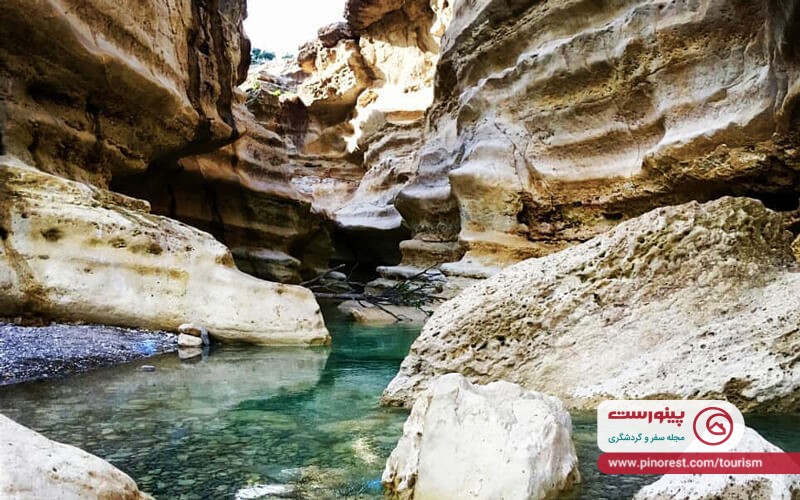 تنگ رازیانه