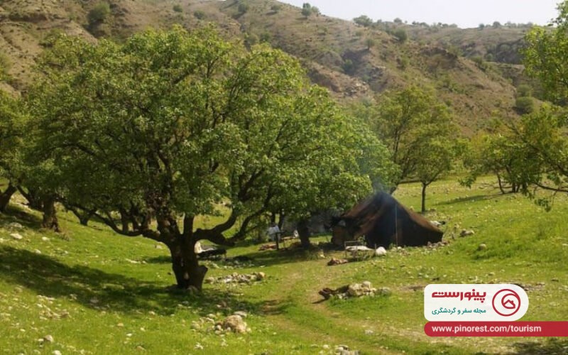 تنگه رازیانه عکس