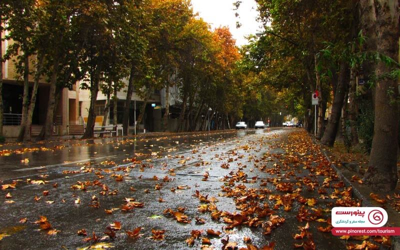 گروە ورزش صبحگاهی شانو