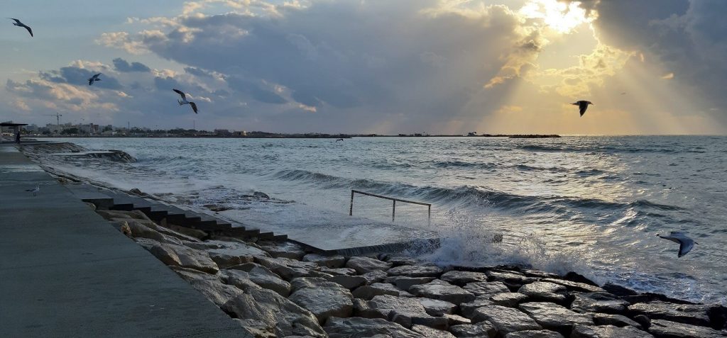 عکس ساحل بندر گناوه
