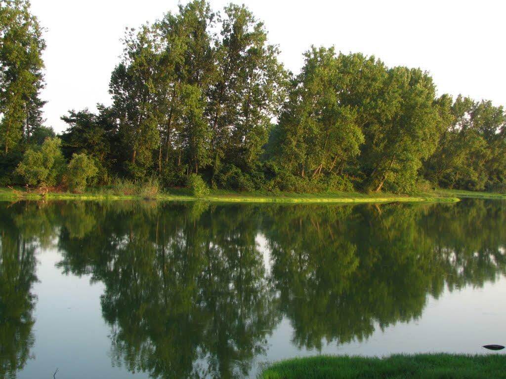 تالاب عینک رشت