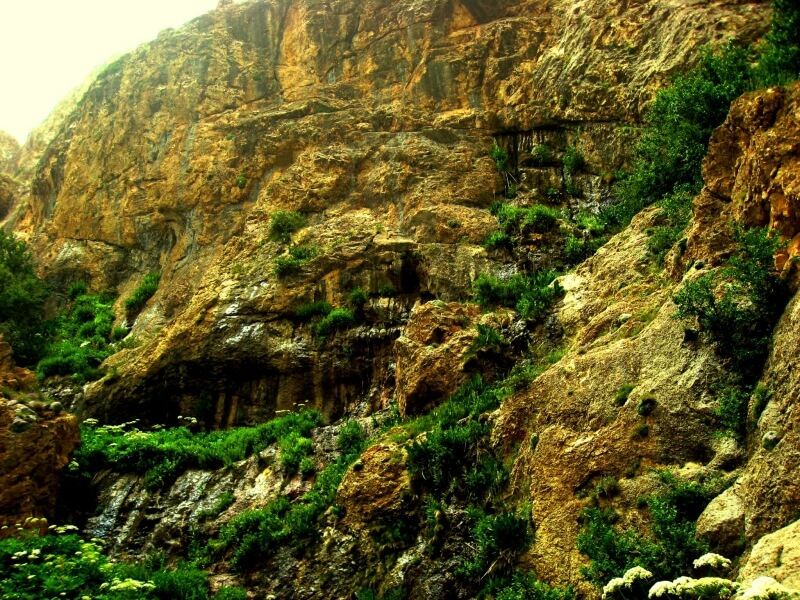 طبیعت زیبای بهاری