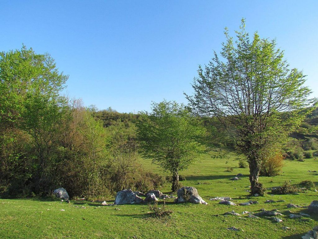 طبیعت روستای کوشک سرا،خانهی جنگل نیرنگ
