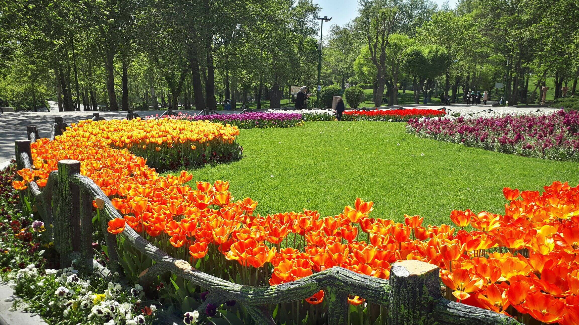 بهترین پارک های تهران