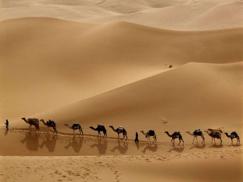 شتر سواری یکی از تفریحات رایج سفر به این نقاط است