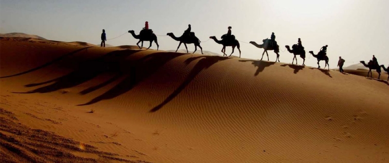 شتر سواری در کویر