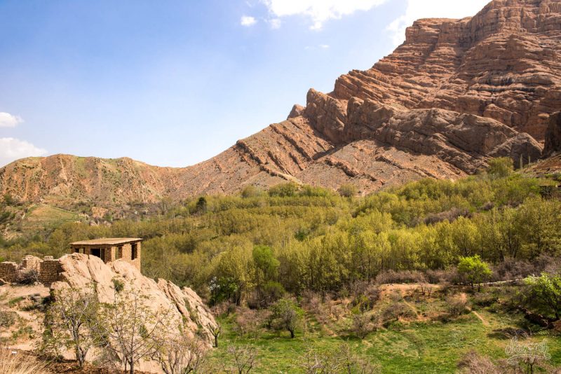 قلات شیراز