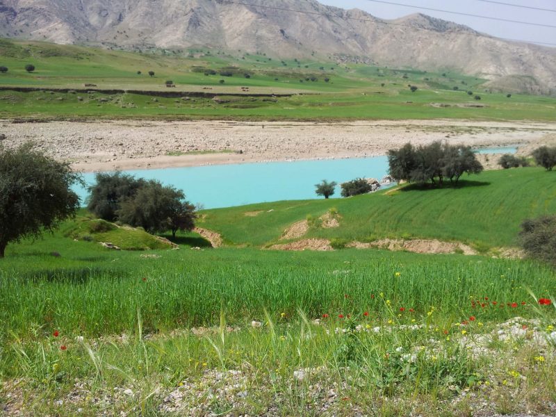 دشت سوسن