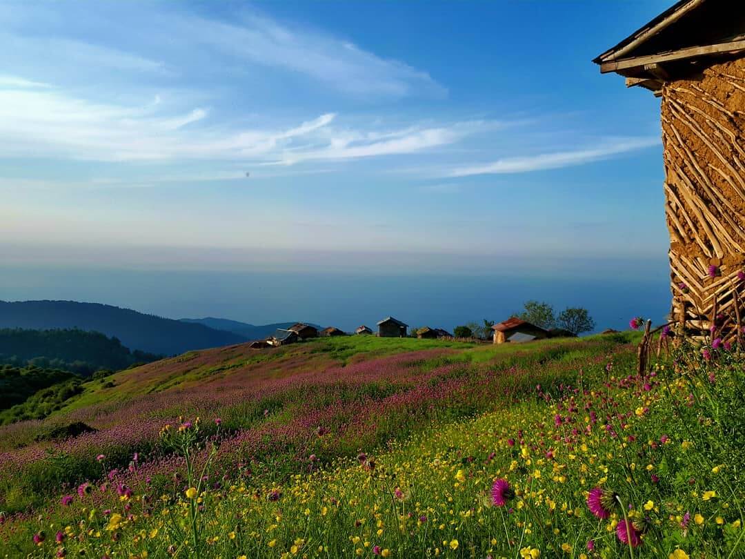 کلبه های چوبی برای ماندن در طبیعت در جواهرده