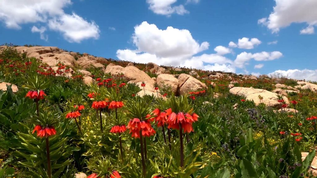 زیبایی دامنه‌های زاگرس