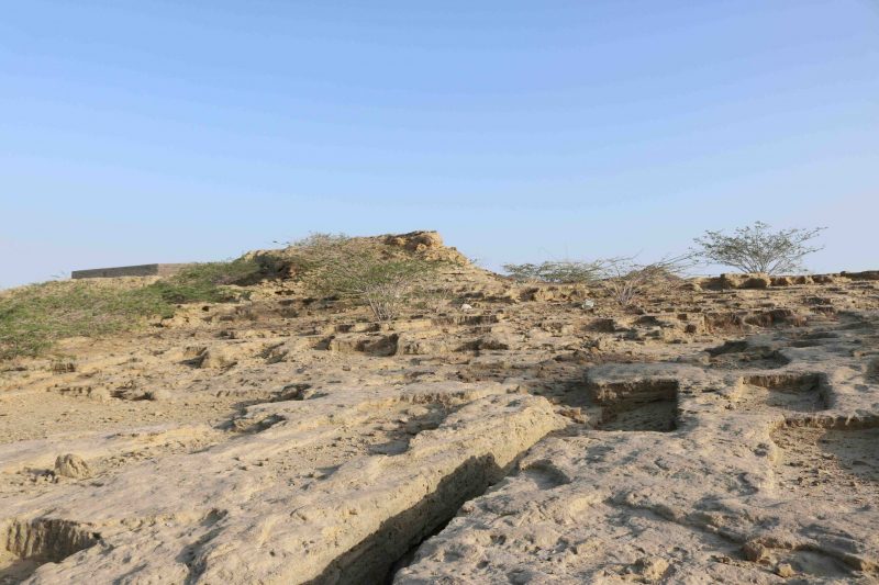 تیس