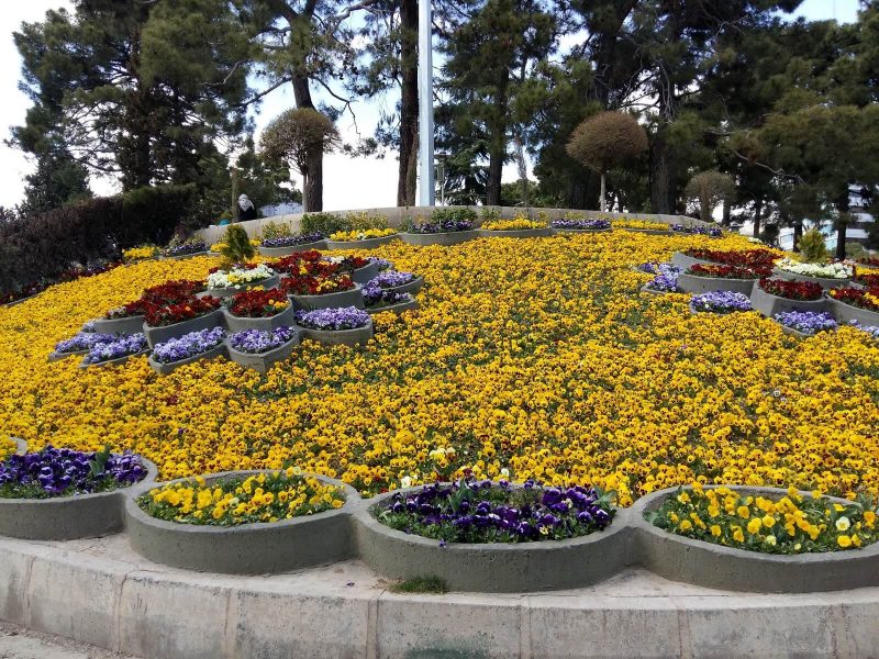 پارک ساعی