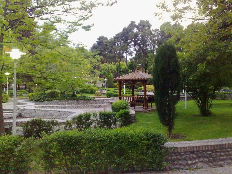 پارک ساعی