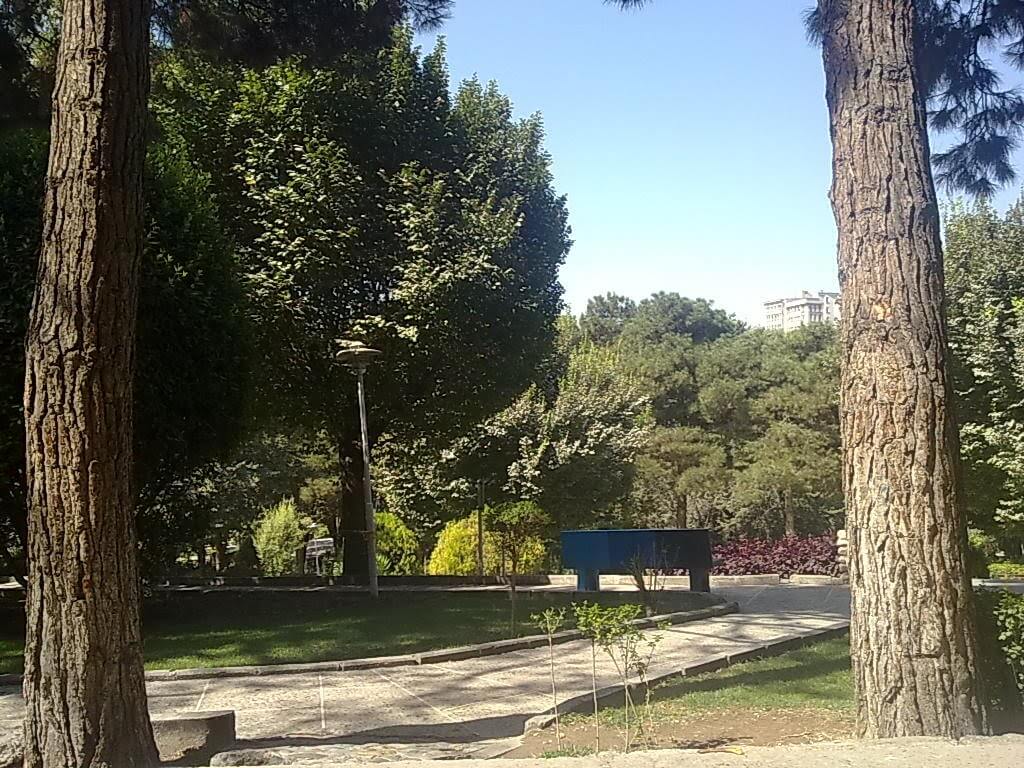 پارک ساعی
