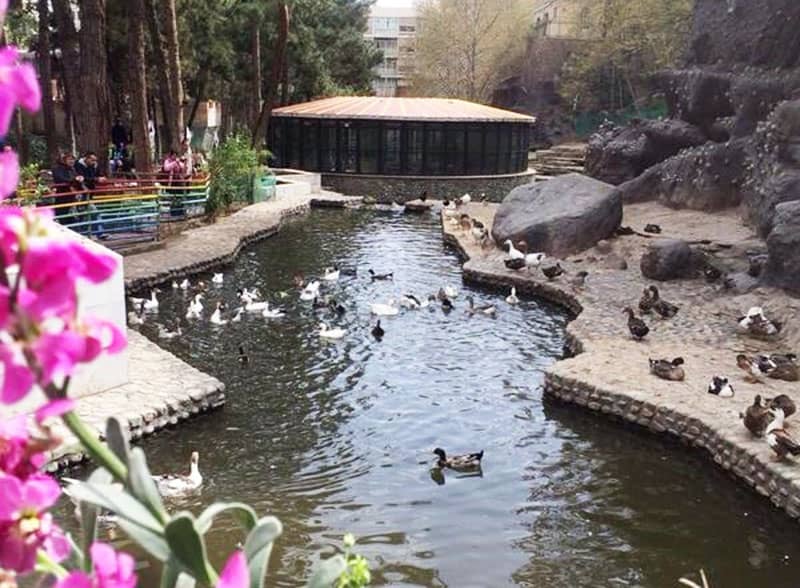 پارک ساعی