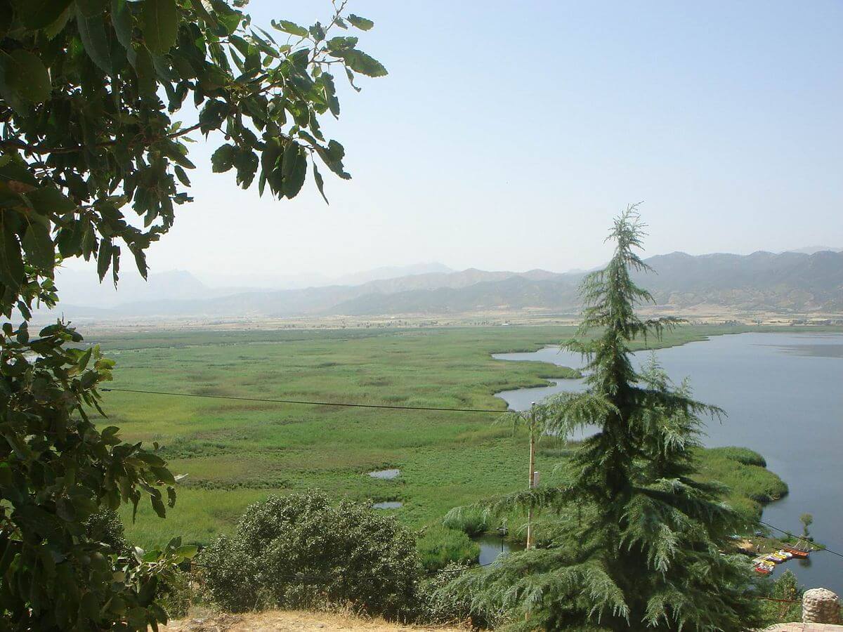 زریبار