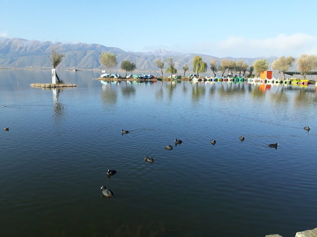 دریاچه زریوار
