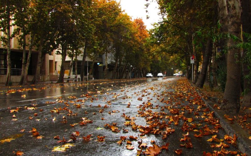 خیابان ولیعصر