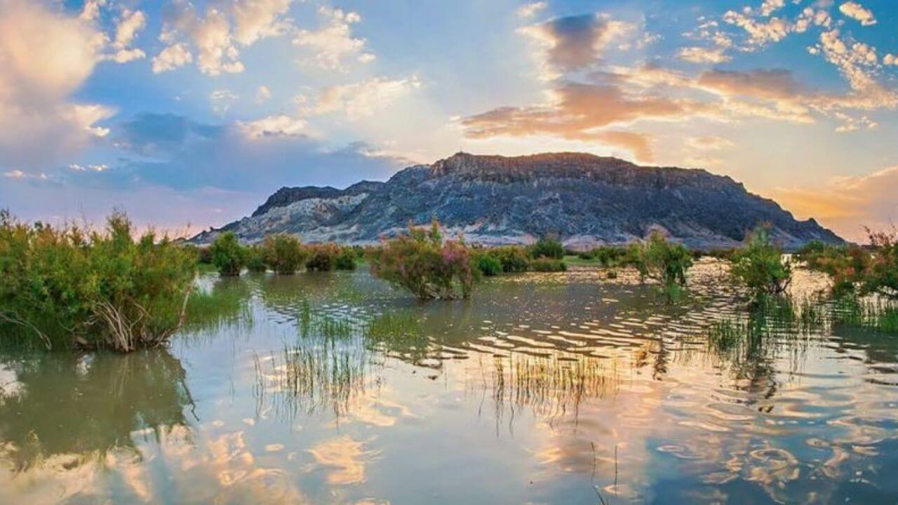 دریاچه هامون