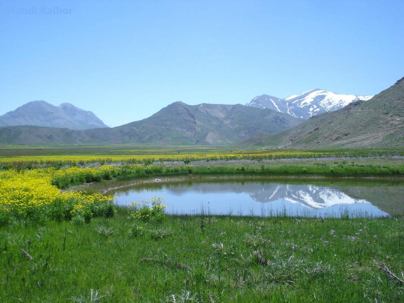 دشت لار