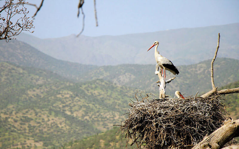 تفرجگاه ملاقوبی