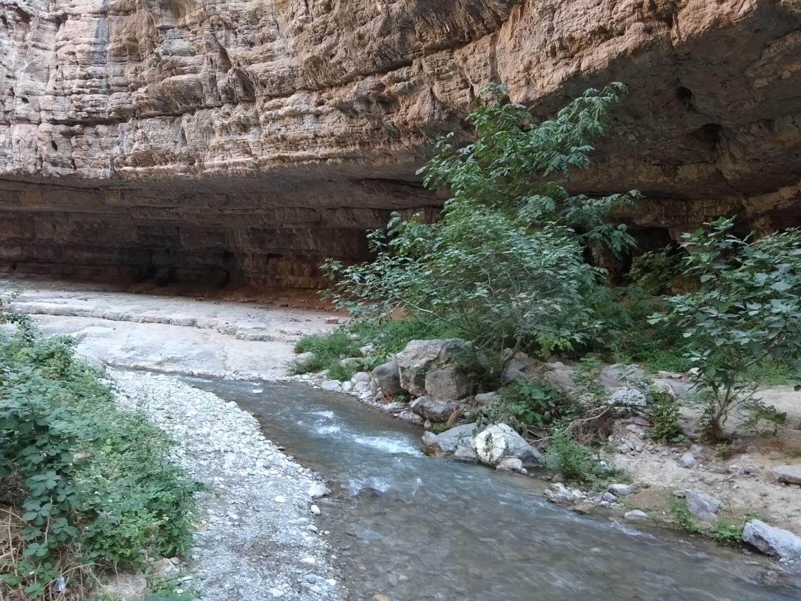 طبیعت بکر دره شمخال؛ کبوترخانه
