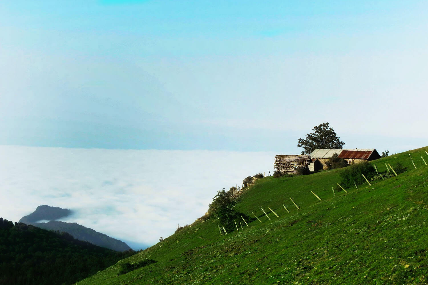 روستا