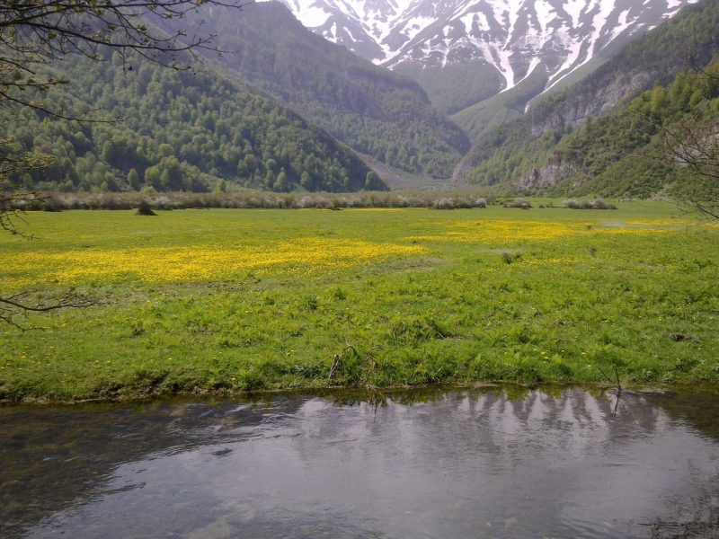 دشت دریاسر