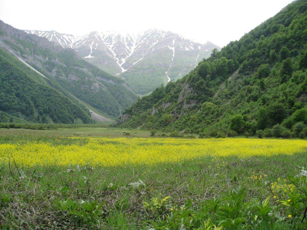اردیبهشت