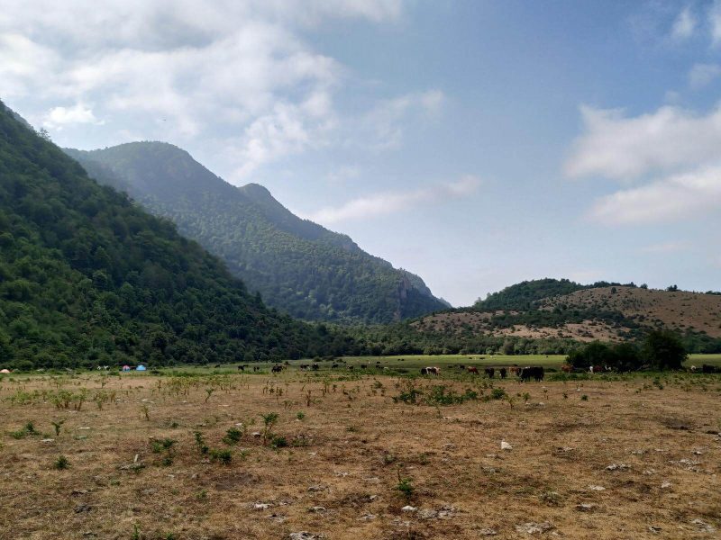 دشت دریاسر
