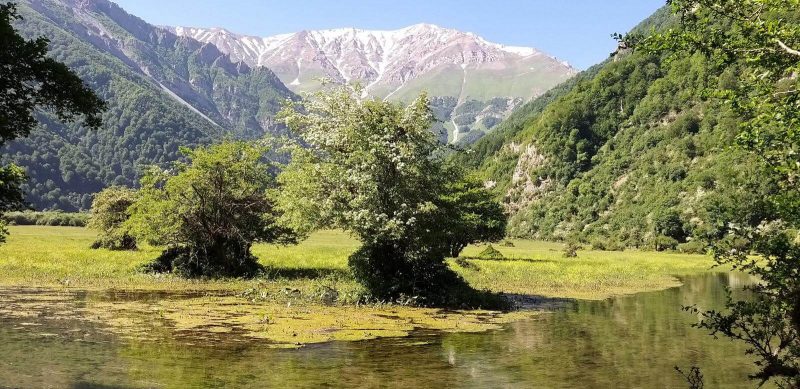 دشت دریاسر
