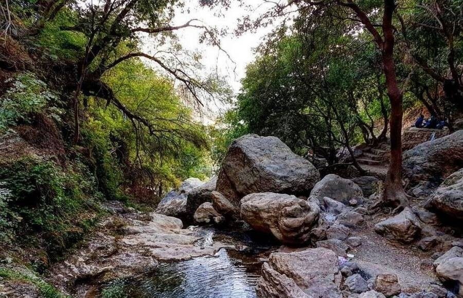 طبیعت تنگ تامرادی