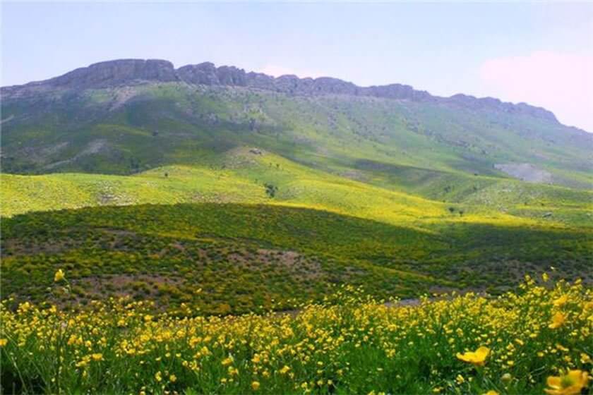 دشت راق