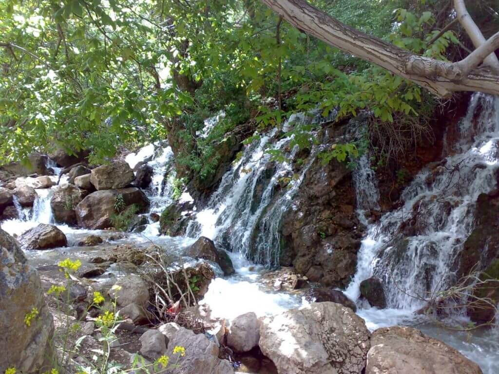 طبیعت