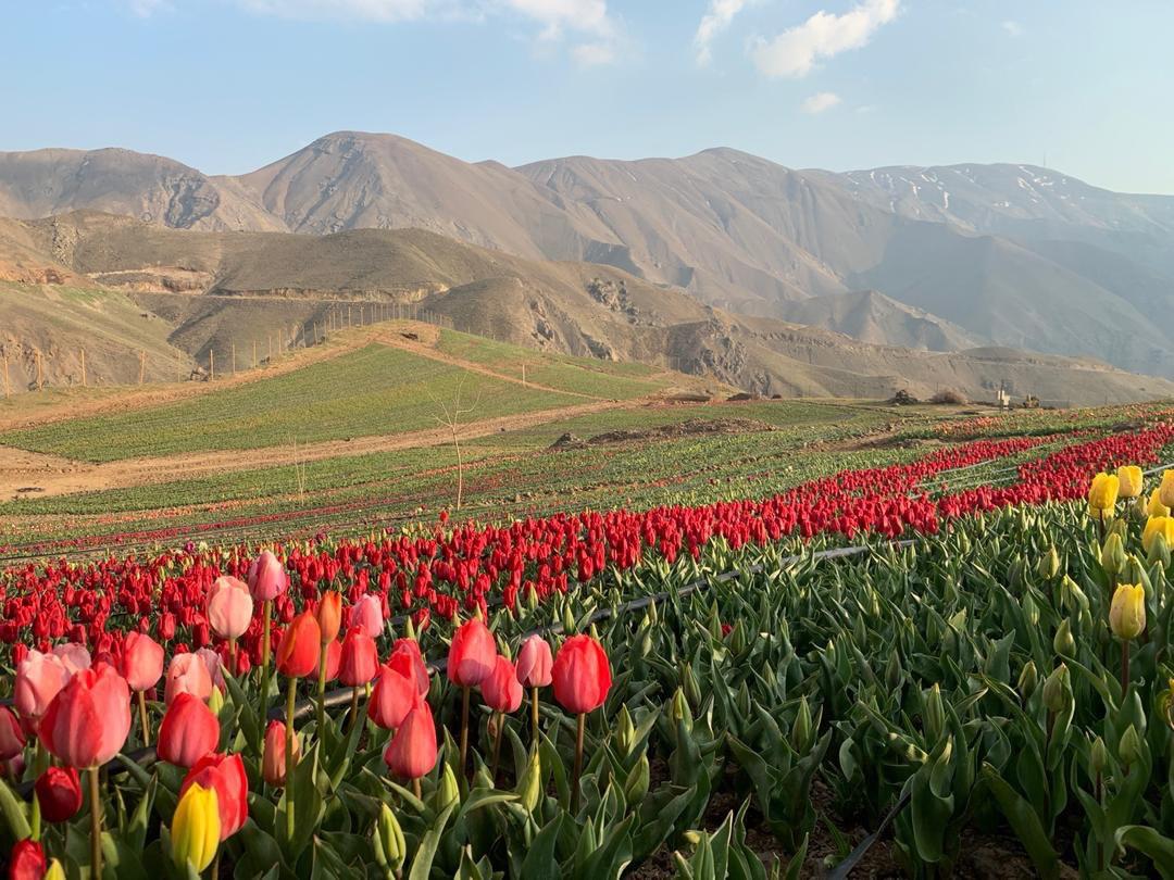 روستای کندر کرج