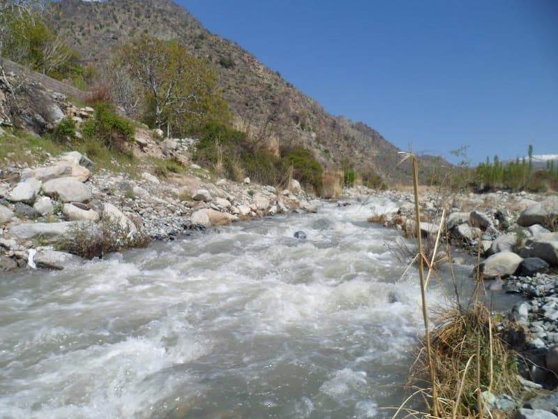 رودخانه دلفارد