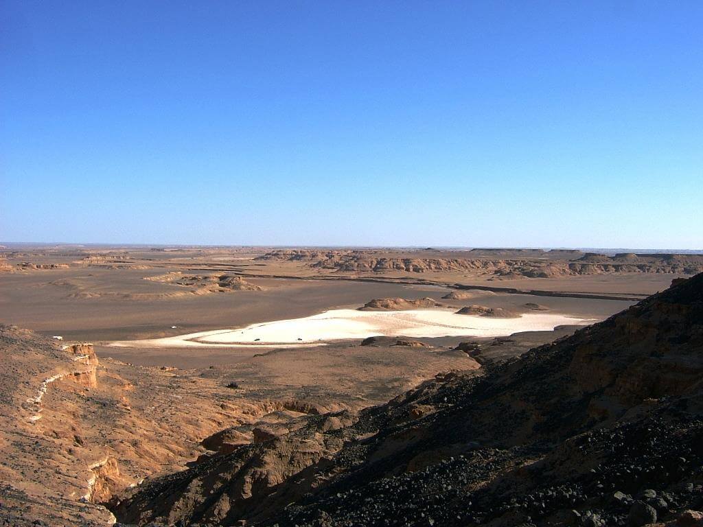 گندم بریان