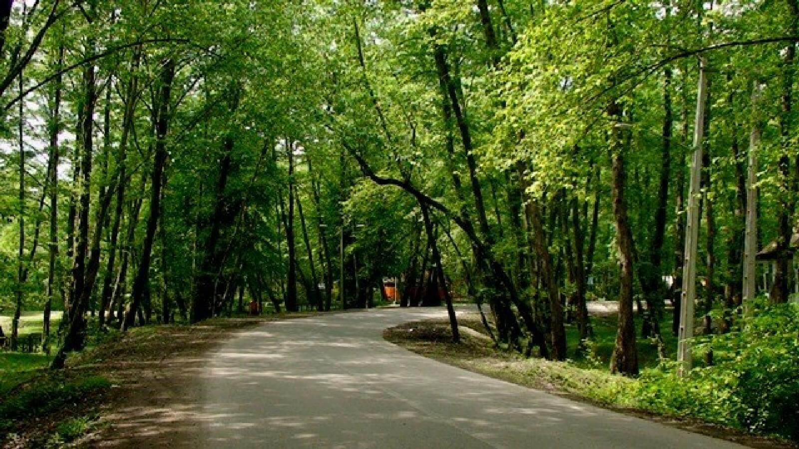 پارک جنگلی نور