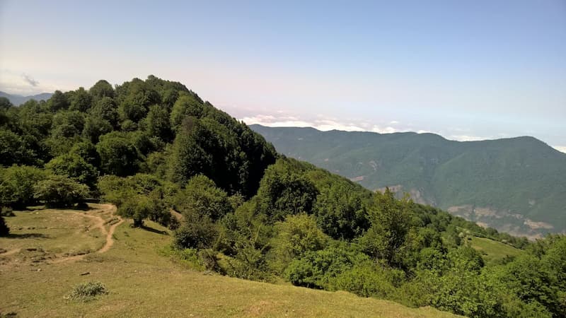 جنگل و کوه الیمستان