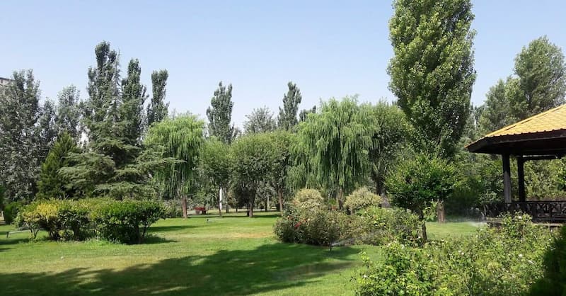 بوستان بزرگ ولایت در نواب