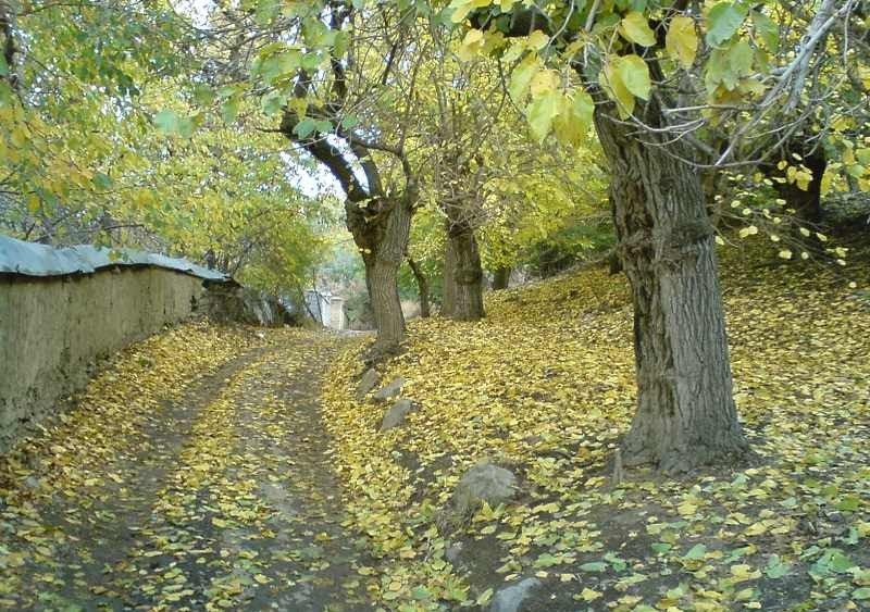 روستای کندر استان البرز