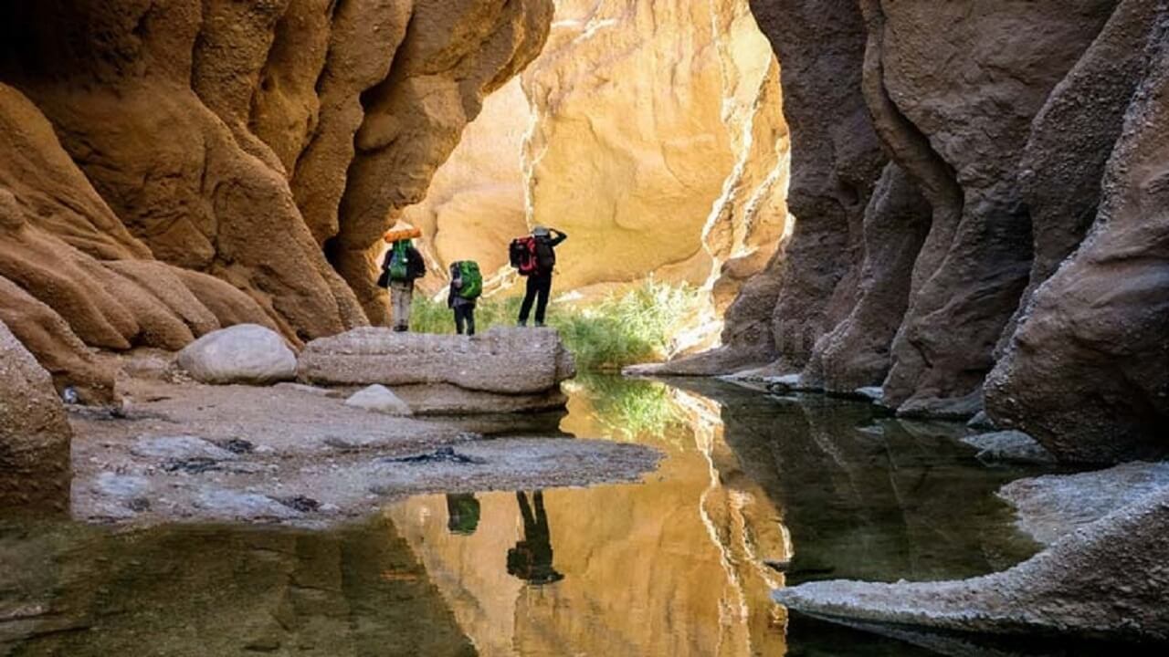 کال جنی