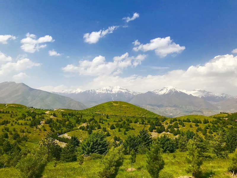 پارک جنگلی تلو ؛ برای تفریح خانوادگی کجا برویم؟