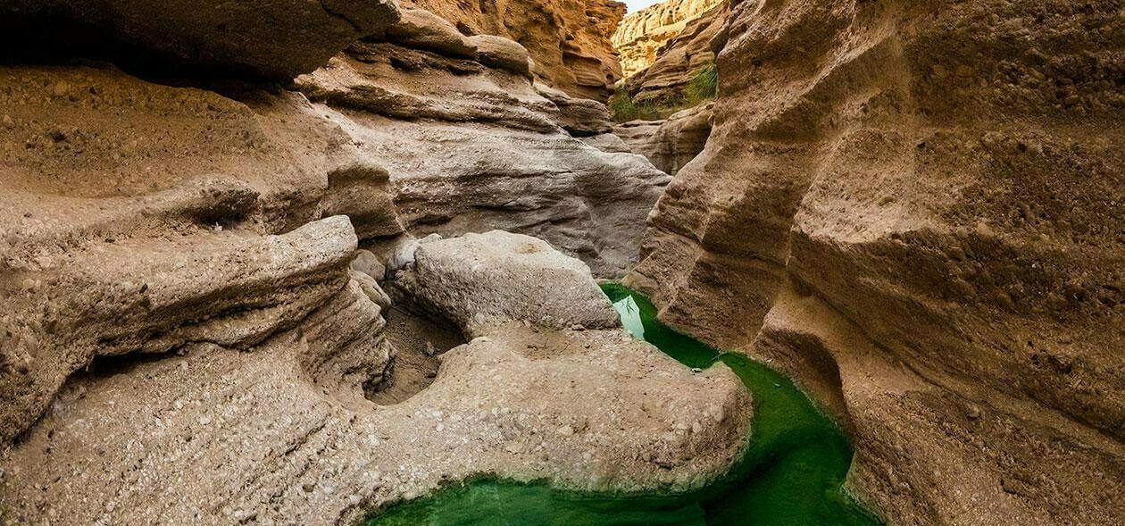 کال جنی