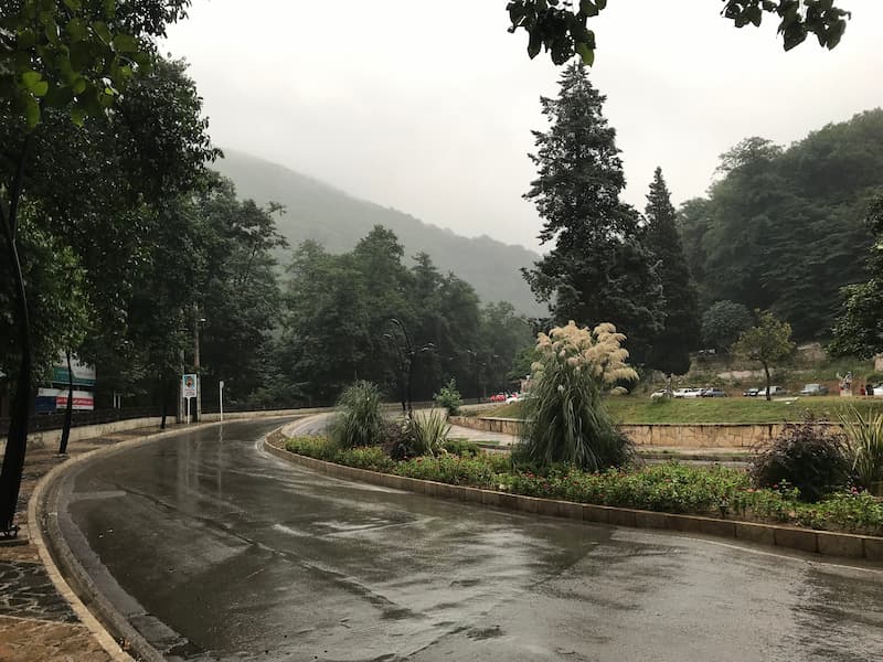 جنگل ناهارخوران گلستان