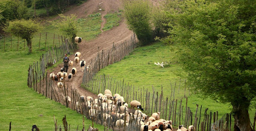روستای استخرگاه