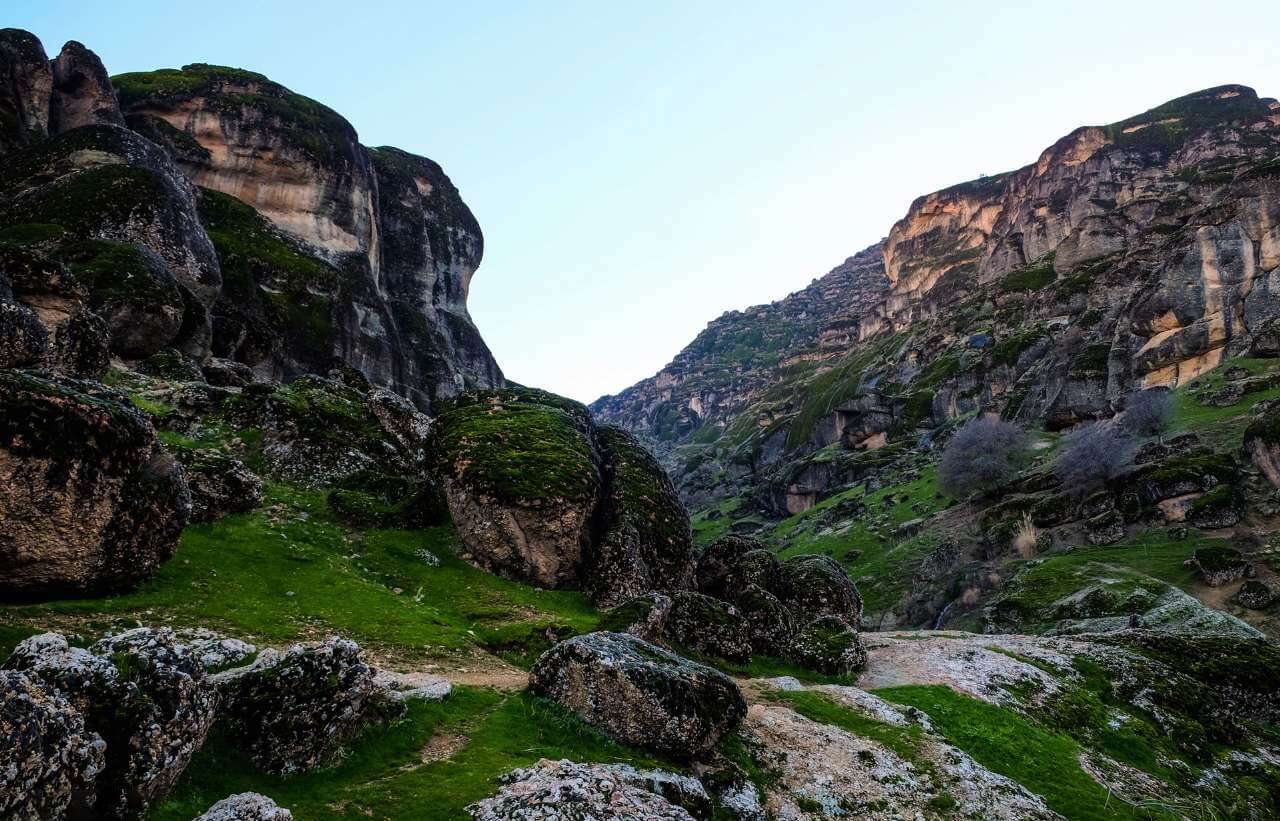 مخمل کوه